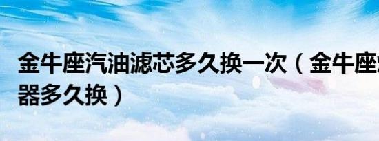 金牛座汽油滤芯多久换一次（金牛座燃油滤清器多久换）