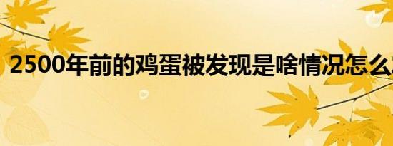 2500年前的鸡蛋被发现是啥情况怎么发现的