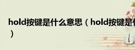 hold按键是什么意思（hold按键是什么意思）