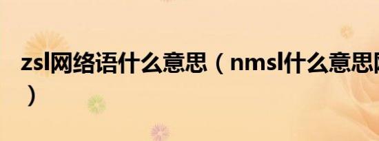 zsl网络语什么意思（nmsl什么意思网络用语）