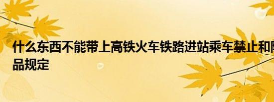什么东西不能带上高铁火车铁路进站乘车禁止和限制携带物品规定