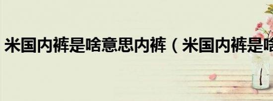 米国内裤是啥意思内裤（米国内裤是啥意思）