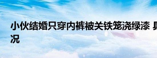 小伙结婚只穿内裤被关铁笼浇绿漆 具体啥情况
