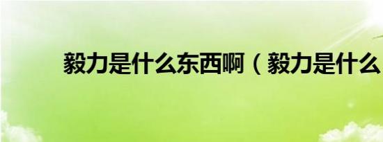 毅力是什么东西啊（毅力是什么）