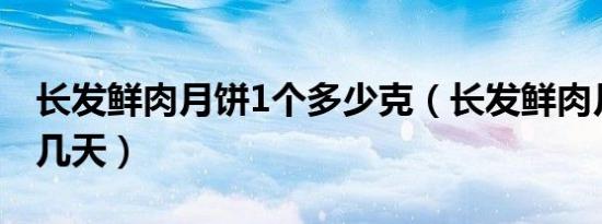 长发鲜肉月饼1个多少克（长发鲜肉月饼能放几天）