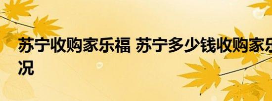 苏宁收购家乐福 苏宁多少钱收购家乐福啥情况