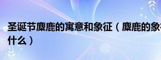 圣诞节麋鹿的寓意和象征（麋鹿的象征意义是什么）