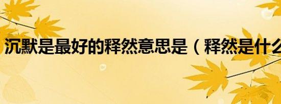 沉默是最好的释然意思是（释然是什么意思）