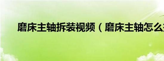 磨床主轴拆装视频（磨床主轴怎么拆）