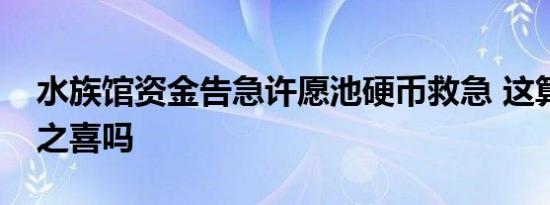 水族馆资金告急许愿池硬币救急 这算是意外之喜吗