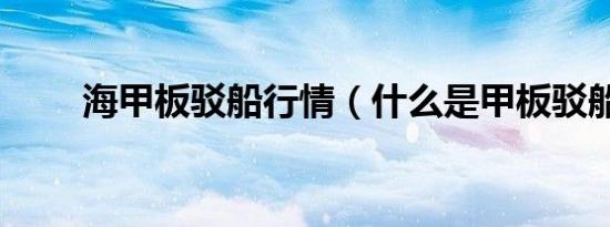 海甲板驳船行情（什么是甲板驳船）