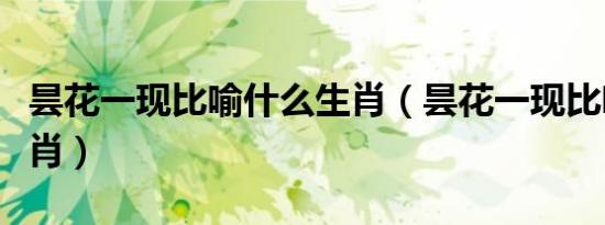 昙花一现比喻什么生肖（昙花一现比喻什么生肖）