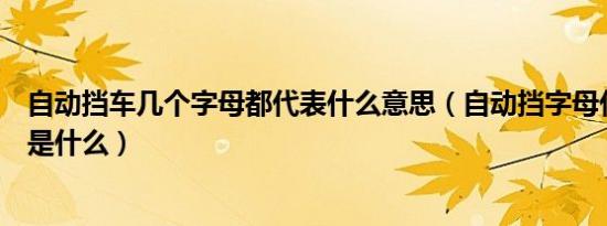 自动挡车几个字母都代表什么意思（自动挡字母代表的意思是什么）