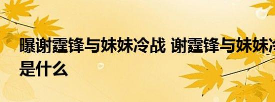 曝谢霆锋与妹妹冷战 谢霆锋与妹妹冷战起因是什么