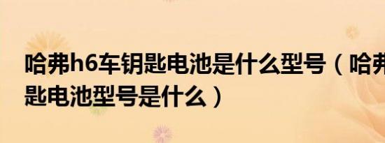 哈弗h6车钥匙电池是什么型号（哈弗h6车钥匙电池型号是什么）