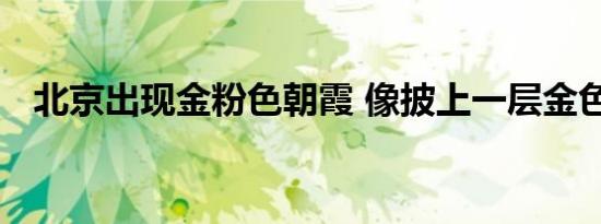 北京出现金粉色朝霞 像披上一层金色纱衣