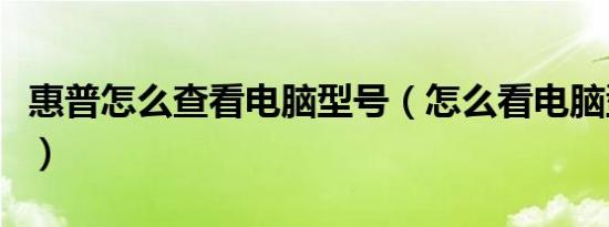 惠普怎么查看电脑型号（怎么看电脑型号惠普）