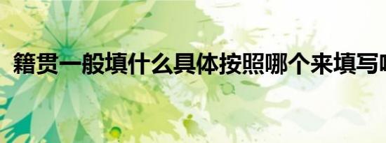 籍贯一般填什么具体按照哪个来填写啥情况