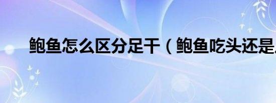 鲍鱼怎么区分足干（鲍鱼吃头还是足）