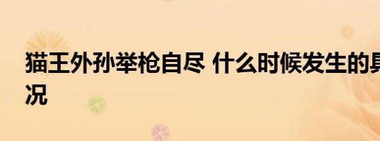 猫王外孙举枪自尽 什么时候发生的具体啥情况