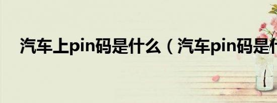 汽车上pin码是什么（汽车pin码是什么）