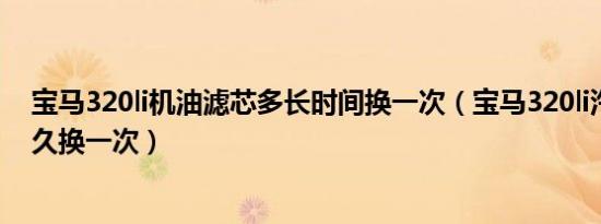 宝马320li机油滤芯多长时间换一次（宝马320li汽油滤芯多久换一次）