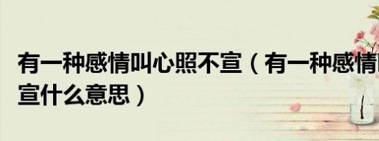 有一种感情叫心照不宣（有一种感情叫心照不宣什么意思）