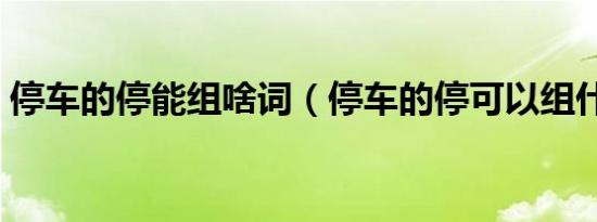 停车的停能组啥词（停车的停可以组什么词）