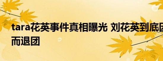 tara花英事件真相曝光 刘花英到底因为什么而退团