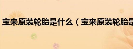 宝来原装轮胎是什么（宝来原装轮胎是什么）