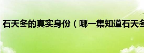 石天冬的真实身份（哪一集知道石天冬身份）