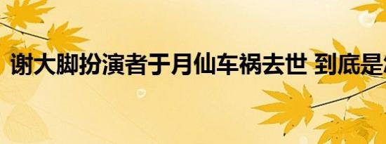 谢大脚扮演者于月仙车祸去世 到底是怎样的
