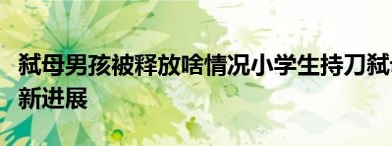 弑母男孩被释放啥情况小学生持刀弑母事件最新进展