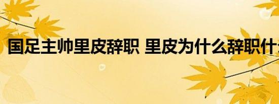 国足主帅里皮辞职 里皮为什么辞职什么原因