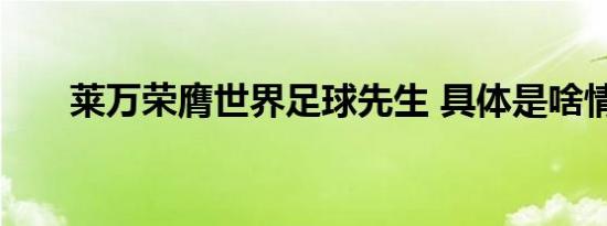 莱万荣膺世界足球先生 具体是啥情况