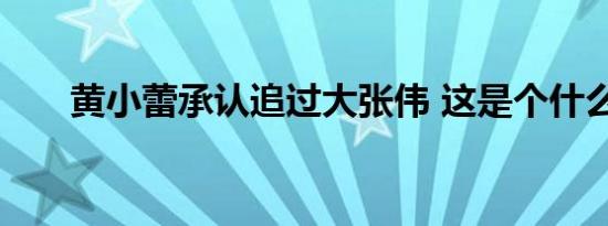 黄小蕾承认追过大张伟 这是个什么瓜
