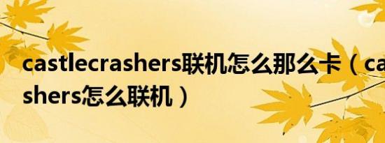 castlecrashers联机怎么那么卡（castle crashers怎么联机）