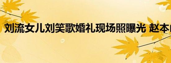 刘流女儿刘笑歌婚礼现场照曝光 赵本山致辞