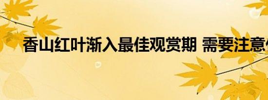 香山红叶渐入最佳观赏期 需要注意什么