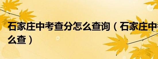 石家庄中考查分怎么查询（石家庄中考查分怎么查）