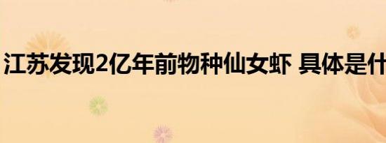 江苏发现2亿年前物种仙女虾 具体是什么样的
