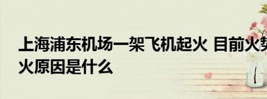 上海浦东机场一架飞机起火 目前火势如何起火原因是什么