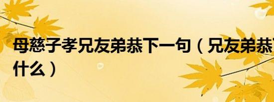 母慈子孝兄友弟恭下一句（兄友弟恭下一句是什么）