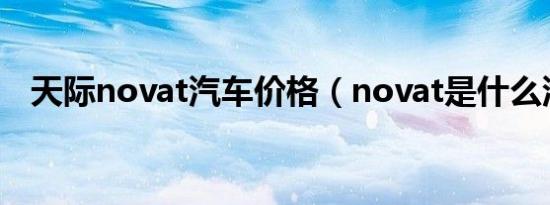 天际novat汽车价格（novat是什么汽车）