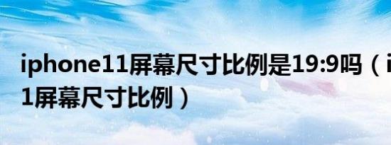 iphone11屏幕尺寸比例是19:9吗（iphone11屏幕尺寸比例）