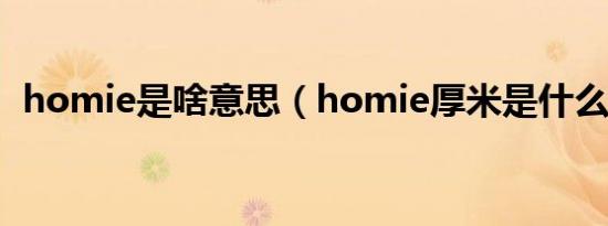 homie是啥意思（homie厚米是什么意思）