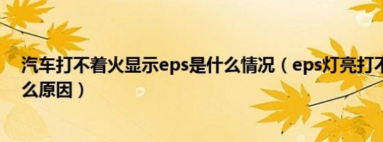 汽车打不着火显示eps是什么情况（eps灯亮打不着火是什么原因）