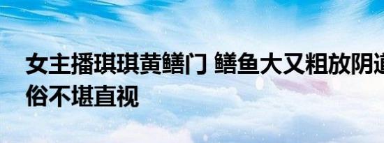女主播琪琪黄鳝门 鳝鱼大又粗放阴道色情低俗不堪直视