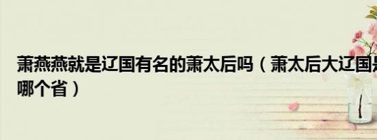 萧燕燕就是辽国有名的萧太后吗（萧太后大辽国是现在中国哪个省）