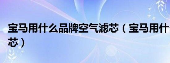 宝马用什么品牌空气滤芯（宝马用什么空气滤芯）